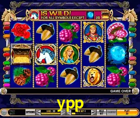 Live Casino ypp